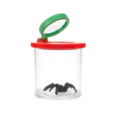Insect Magnifier Box